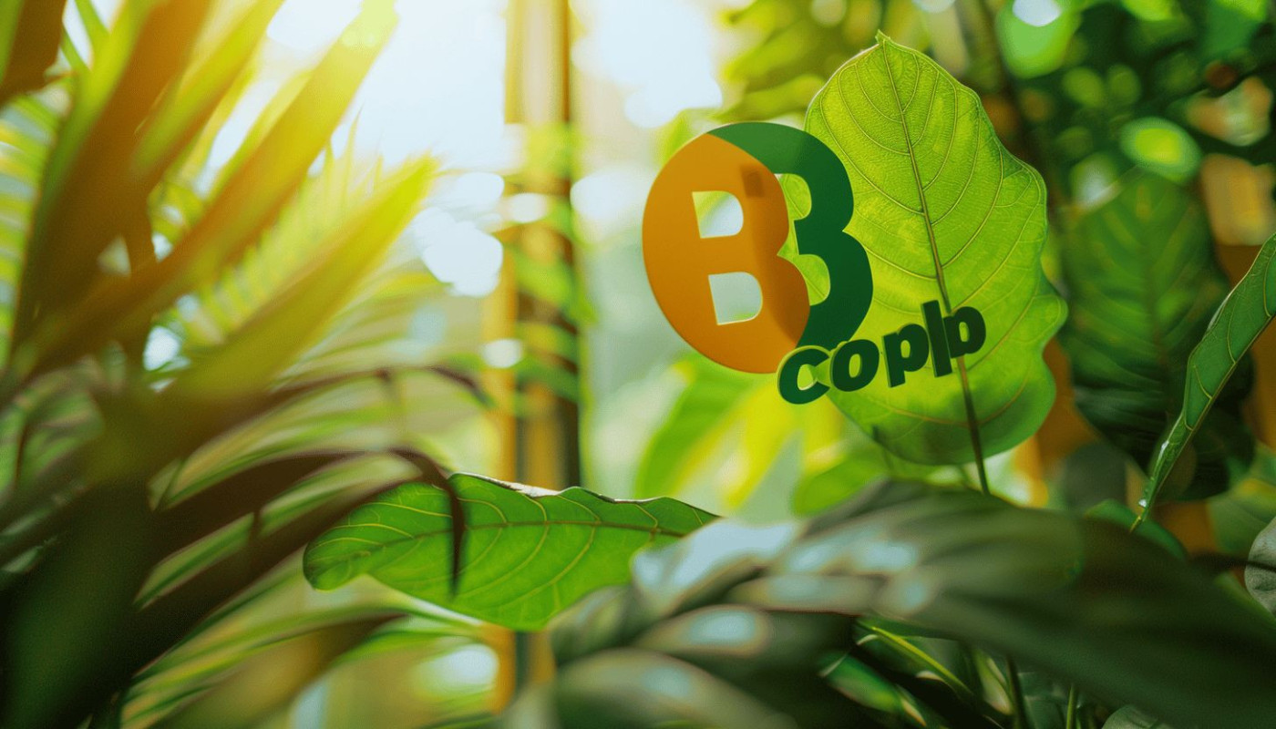 La certification B Corp un levier de croissance pour les entreprises engagées